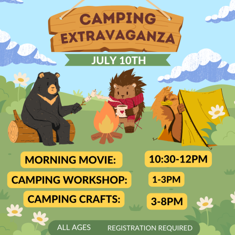 Camping extravaganza lineup