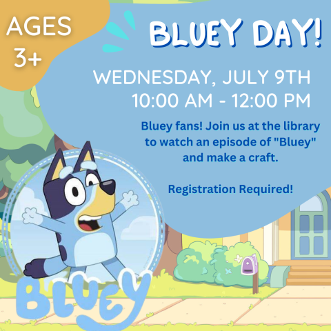 Bluey Day