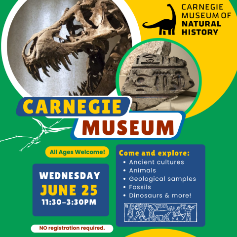 Carnegie museum