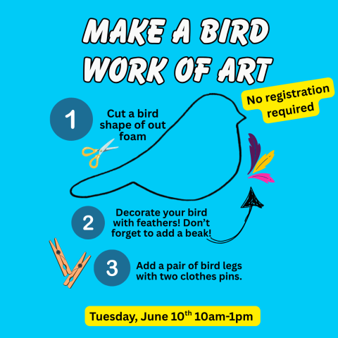 Bird Craft 
