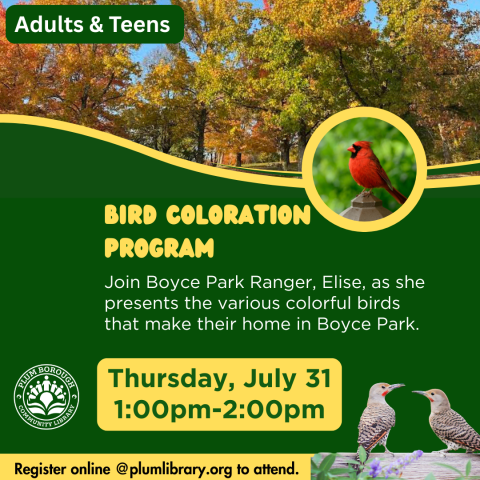 Bird Coloration