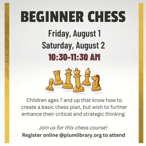 BEGINNER CHESS
