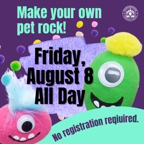 Pet Rock!