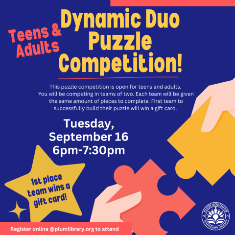 Dynamic Duo Puzzle Competition 
