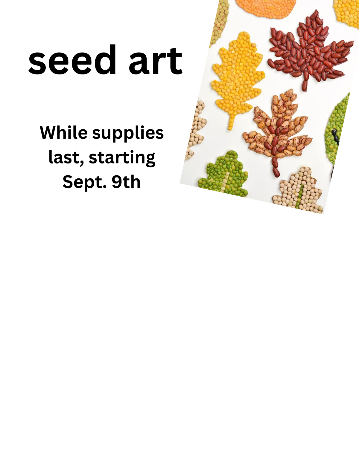 Seed Art