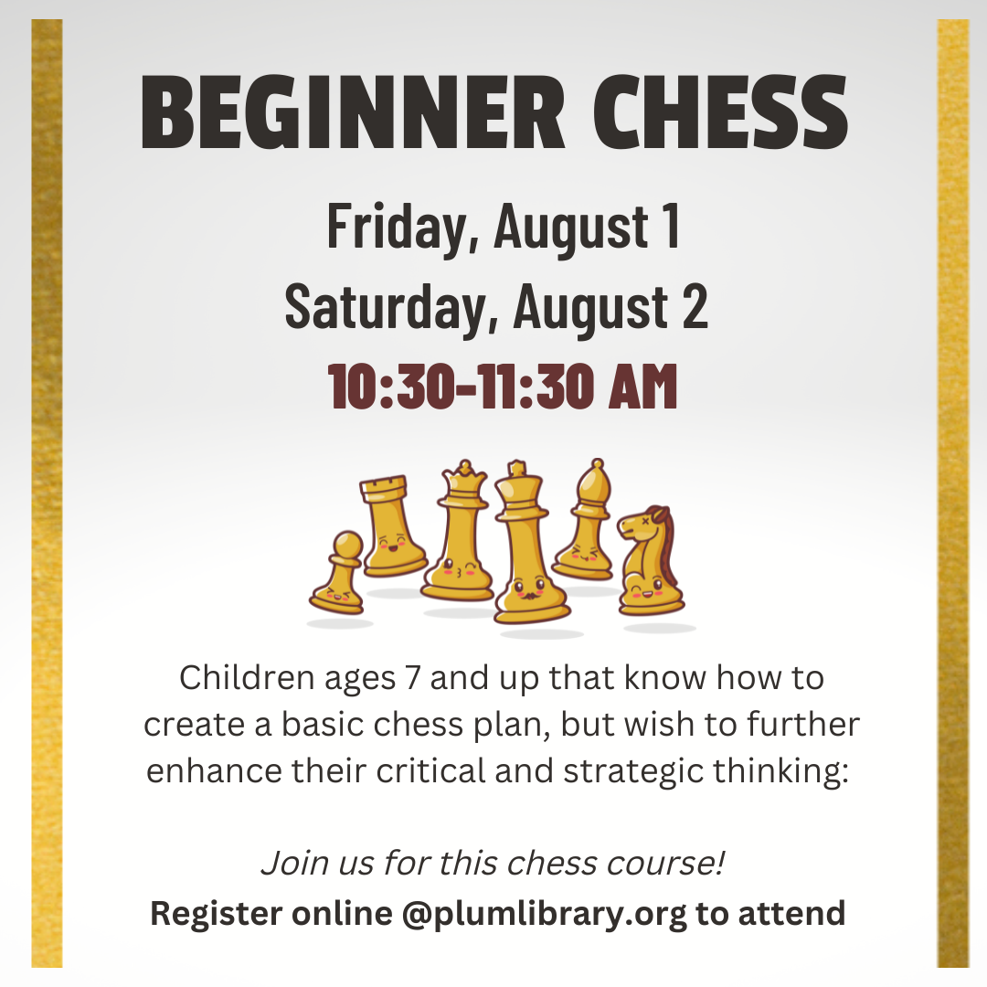 BEGINNER CHESS